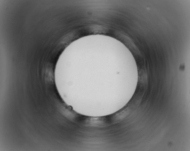 X0000101390622200808041018