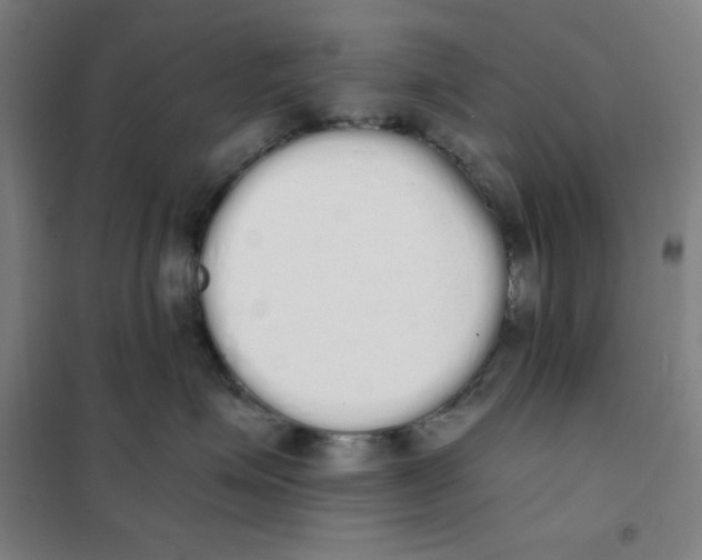 X0000101390623200808041018