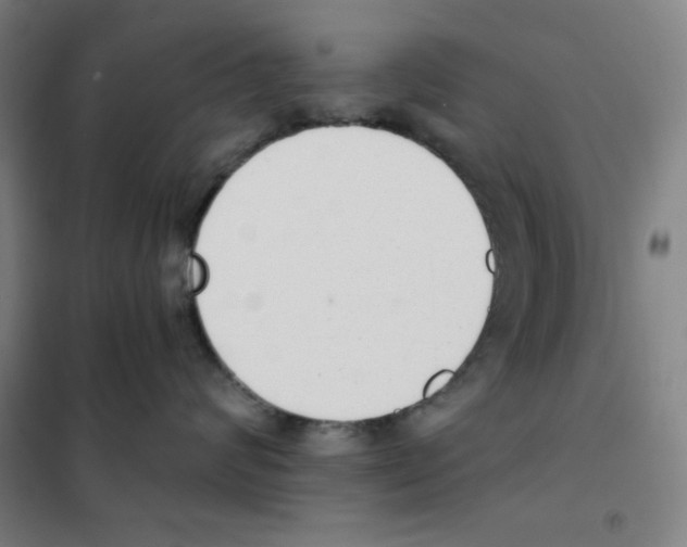 X0000101390624200808041018