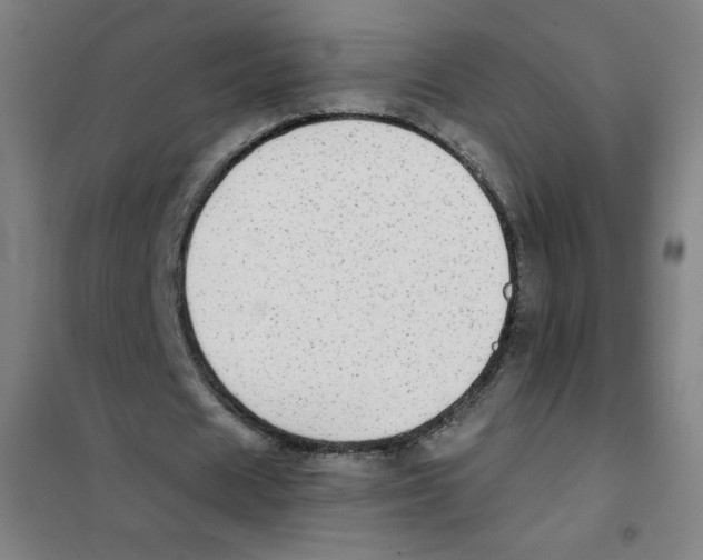 X0000101390625200808041017