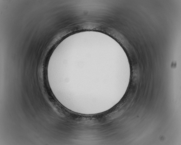 X0000101390626200808041017