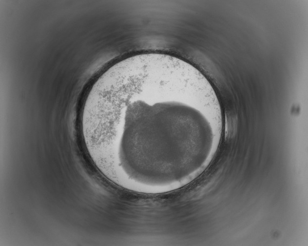 X0000101390627200808041017