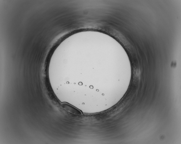 X0000101390628200808041017