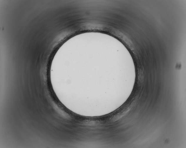 X0000101390629200808041017