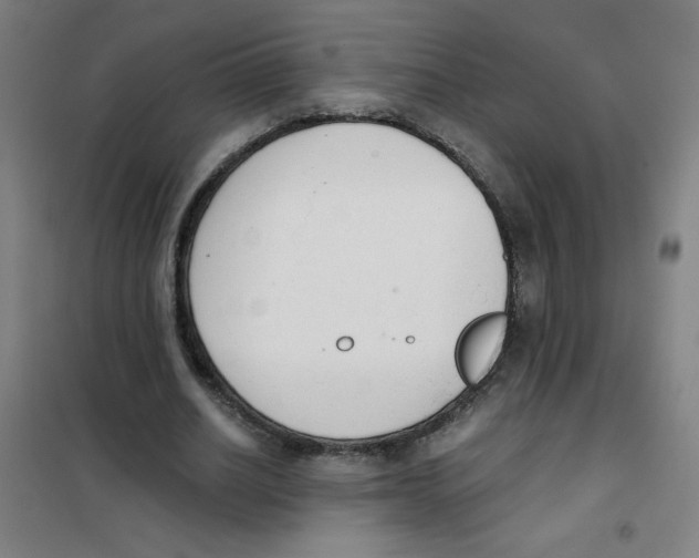 X0000101390630200808041017