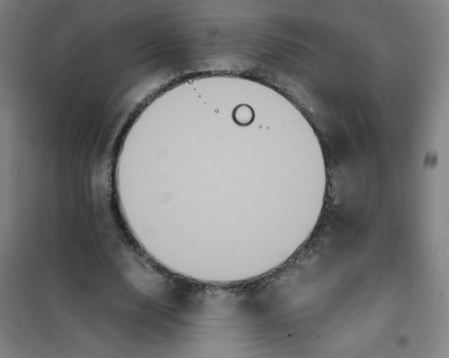X0000101390632200808041017