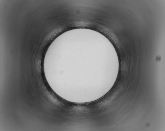 X0000101390633200808041017