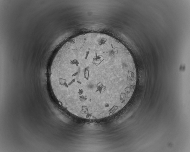 X0000101390634200808041018