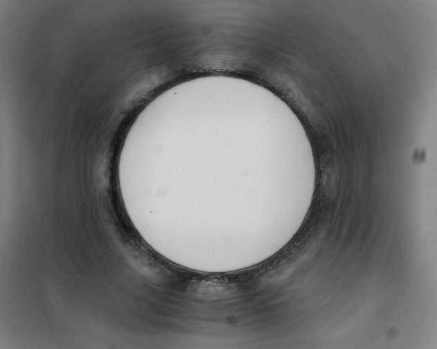 X0000101390635200808041018