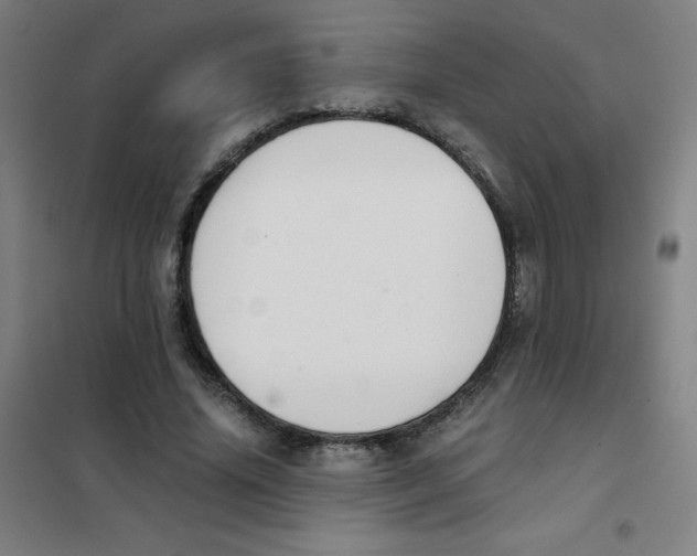 X0000101390636200808041018