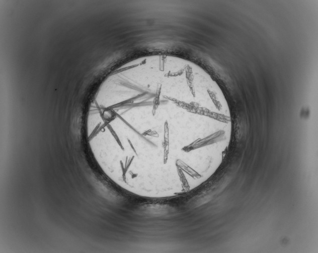 X0000101390637200808041018