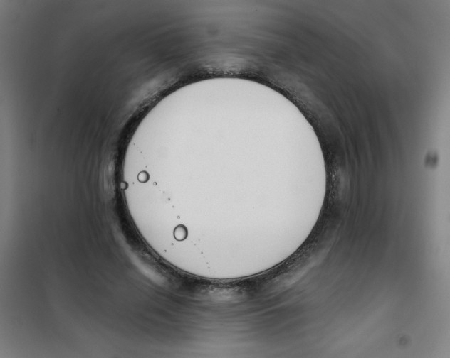X0000101390638200808041018