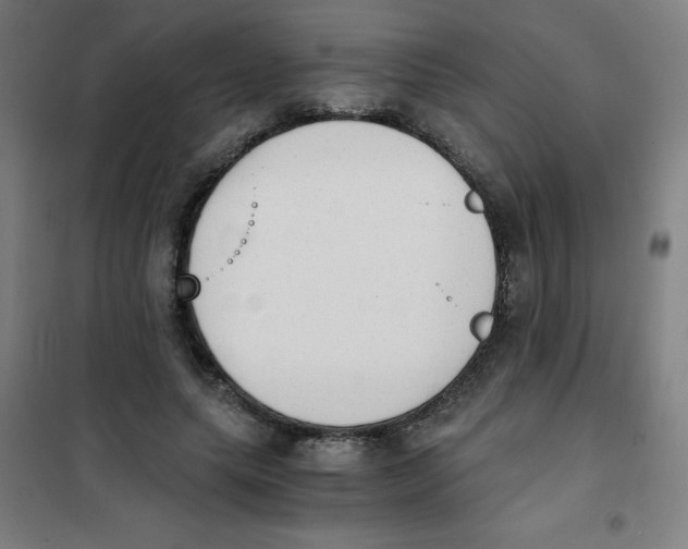 X0000101390639200808041018