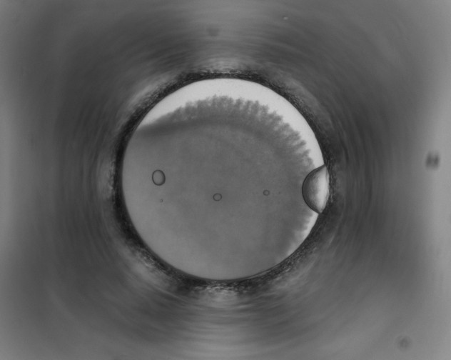 X0000101390640200808041018