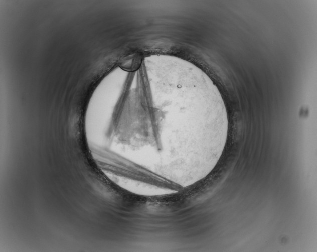 X0000101390641200808041018