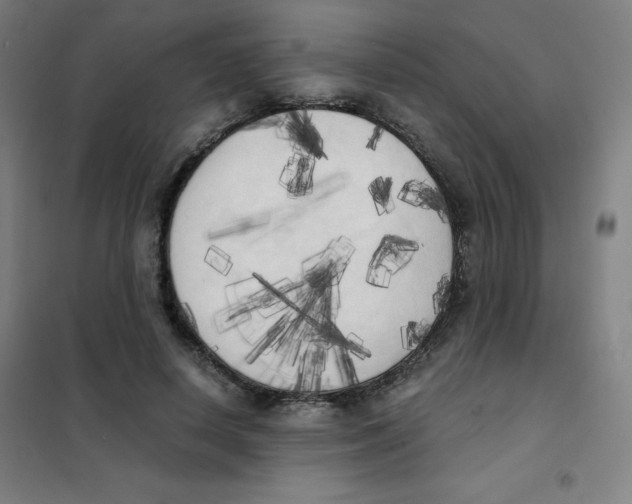 X0000101390642200808041018