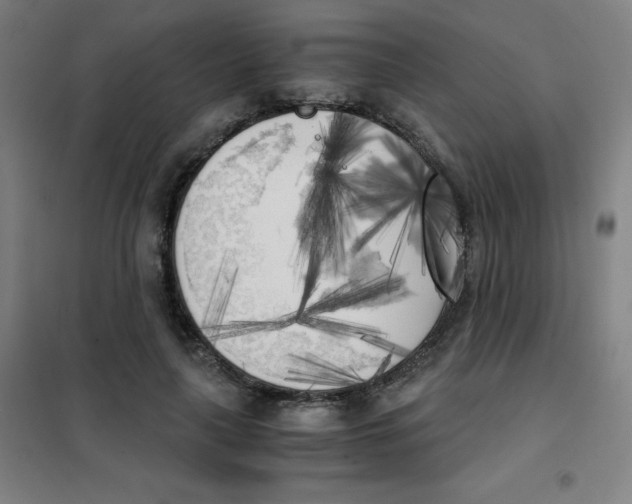 X0000101390643200808041018