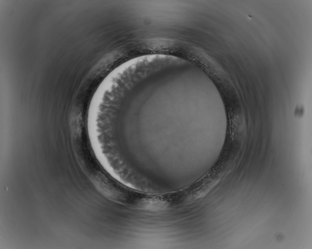 X0000101390644200808041018