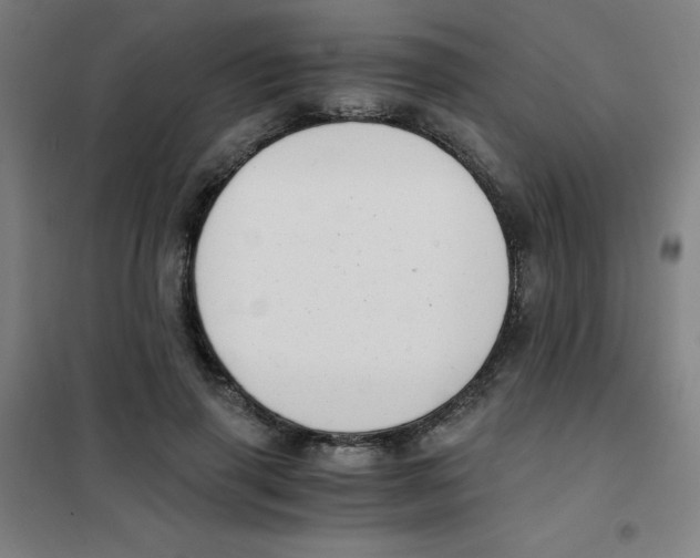 X0000101390645200808041018