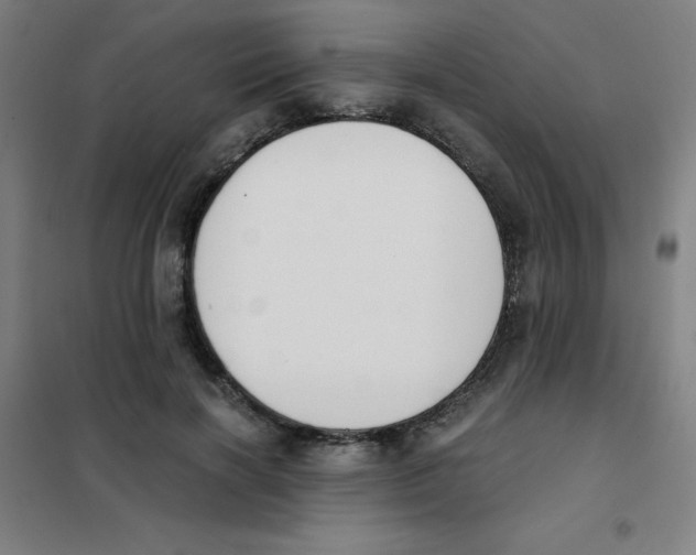X0000101390646200808041018