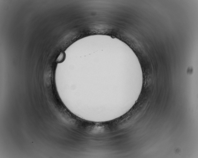 X0000101390647200808041018