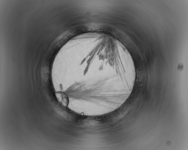 X0000101390648200808041018
