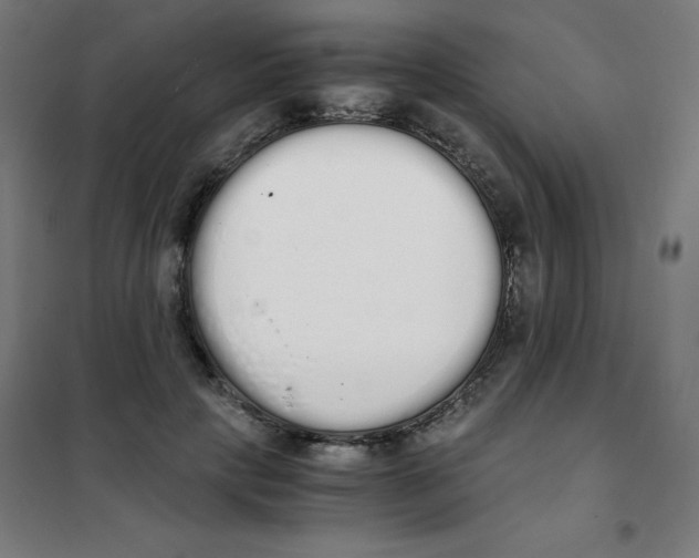X0000101390649200808041018