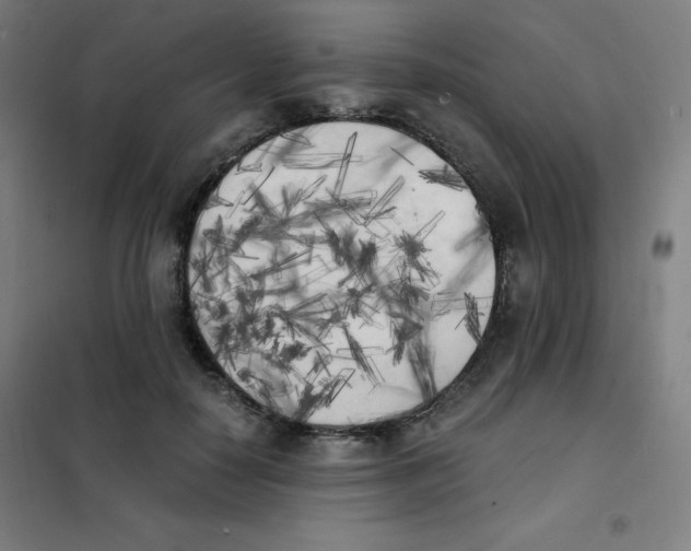 X0000101390650200808041018
