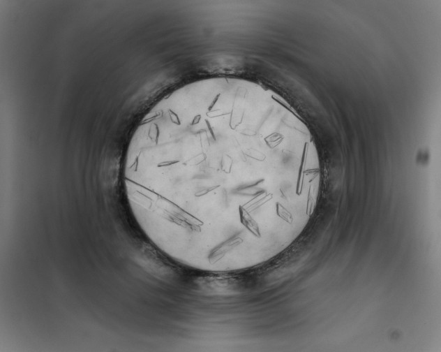 X0000101390652200808041018