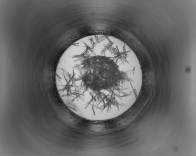 X0000101390653200808041018