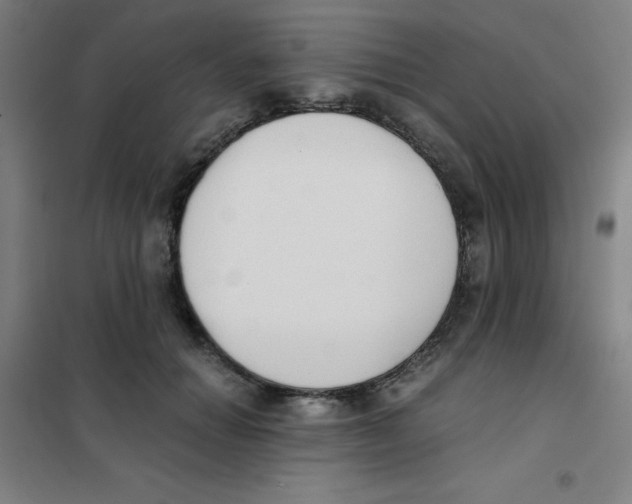 X0000101390654200808041018