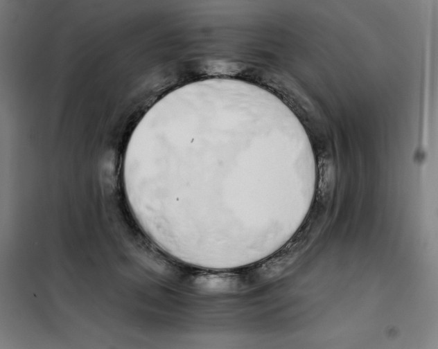 X0000101390655200808041018