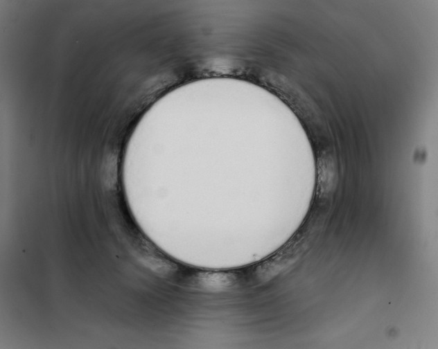 X0000101390656200808041018