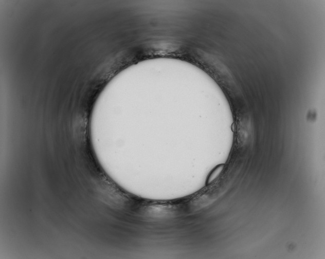 X0000101390657200808041018