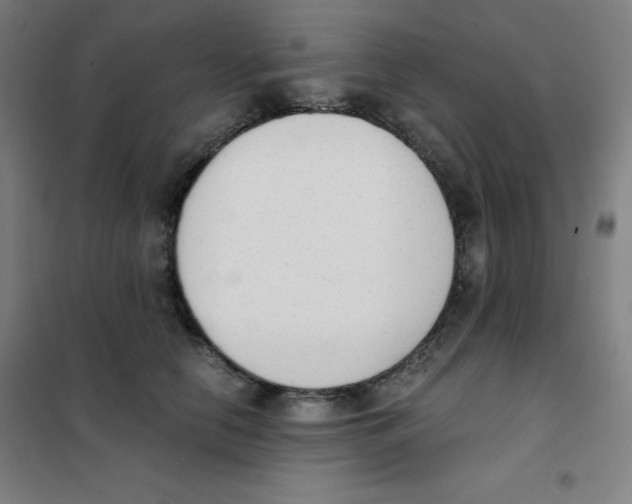 X0000101390658200808041018