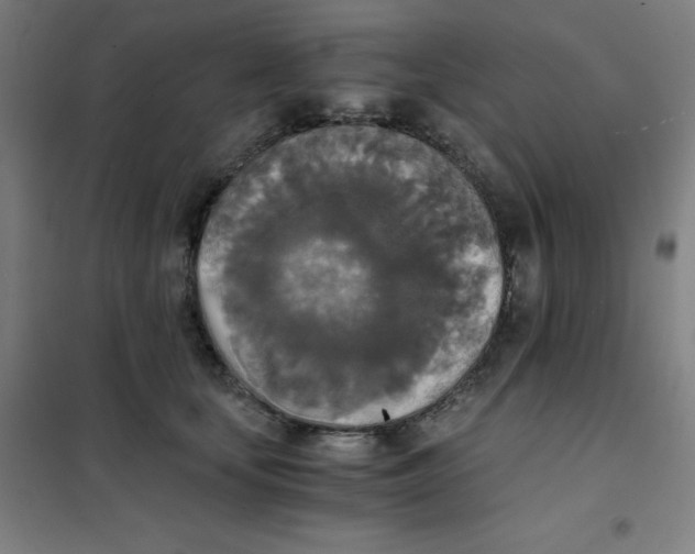X0000101390659200808041018