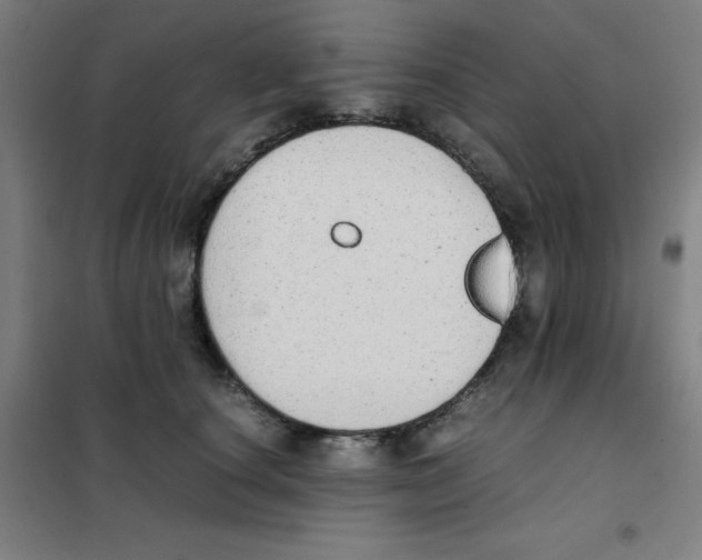 X0000101390660200808041018