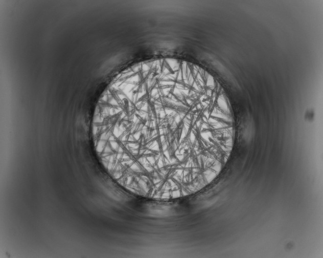 X0000101390661200808041018