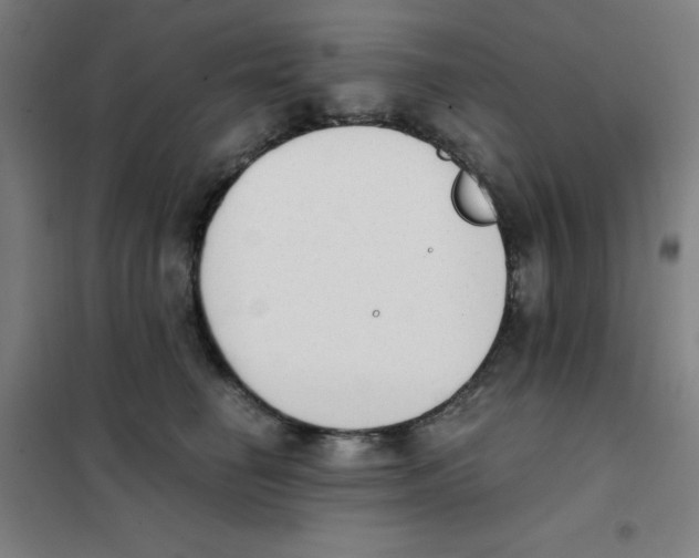 X0000101390662200808041018