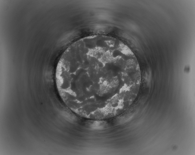 X0000101390663200808041018