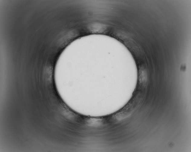 X0000101390664200808041018