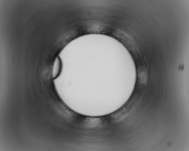 X0000101390665200808041018