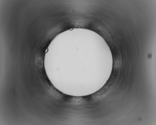 X0000101390666200808041018