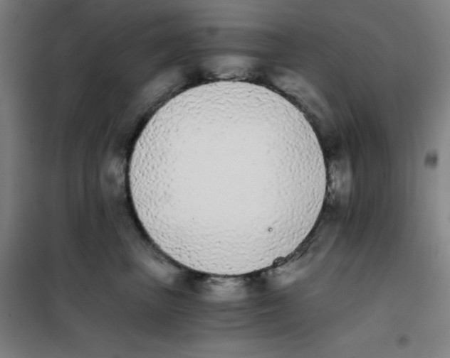 X0000101390667200808041018