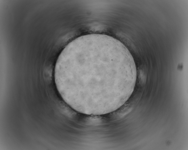 X0000101390668200808041018