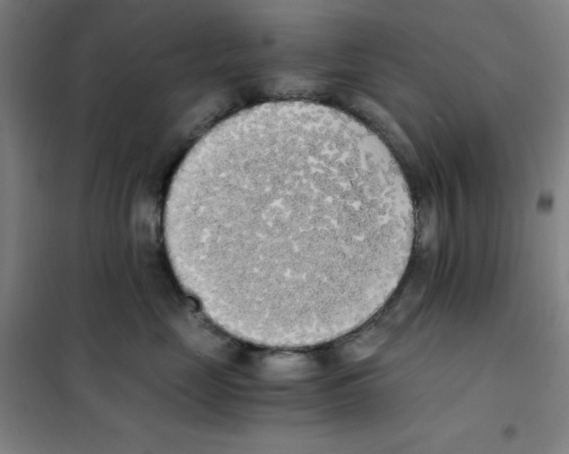 X0000101390669200808041018