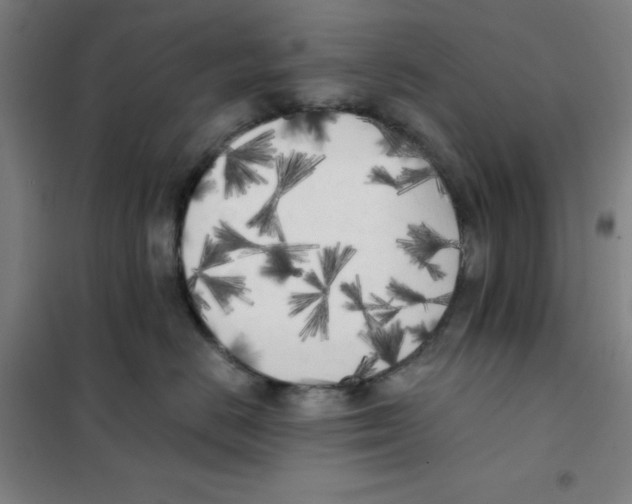 X0000101390670200808041018