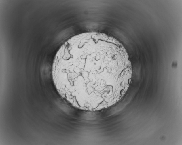 X0000101390671200808041018