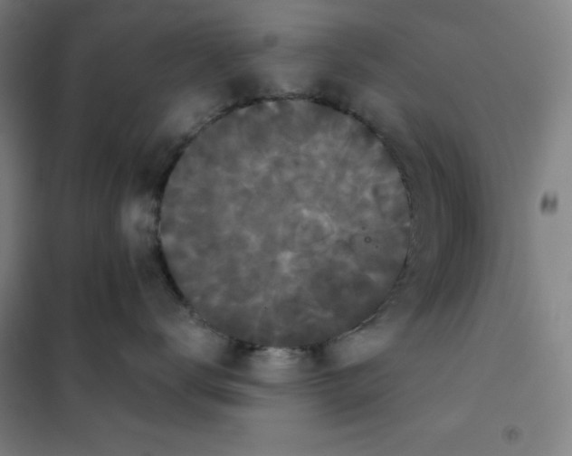 X0000101390672200808041018
