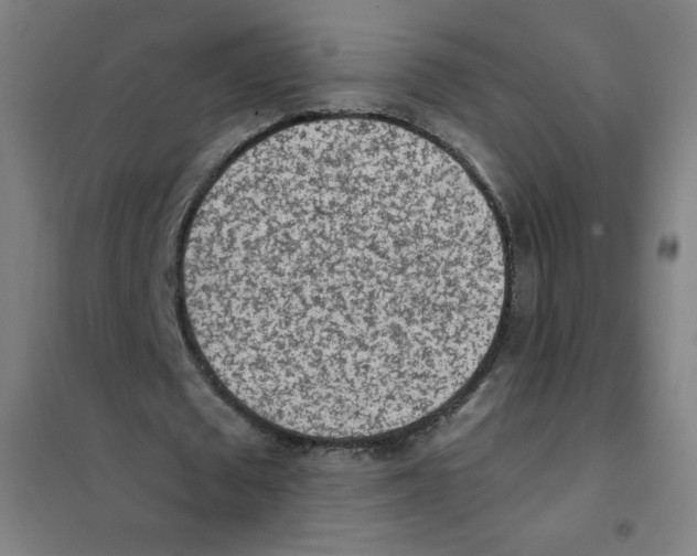 X0000101390673200808041017